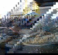 Narrabri Show - QLD Tourism