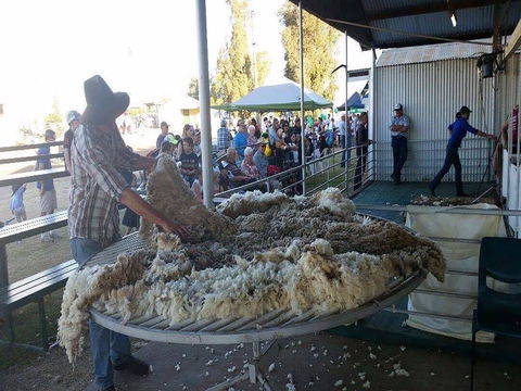 Narrabri Show - QLD Tourism 0