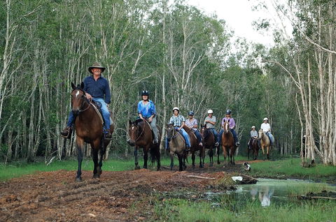 Night Horse Ride And Dinner - Queensland Tourism 0