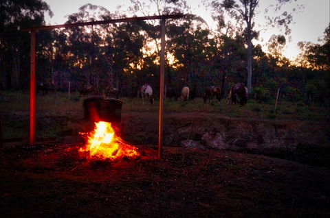 Night Horse Ride And Dinner - Queensland Tourism 2