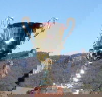 Nimbin Poetry World Cup