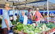 Nundah Farmers Market - thumb 0