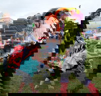 Pambula Show - QLD Tourism