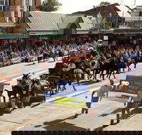 Scone Horse Festival - QLD Tourism
