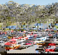 Spring Cruiz In - QLD Tourism