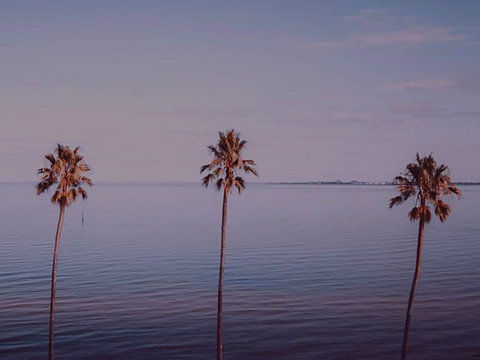 Sunset Streaming Live DJ Streams - QLD Tourism 0