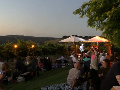 Thank God It's Friday Dinner - Vine And Dine - QLD Tourism 1