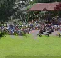 Tumut Derby Day - Queensland Tourism