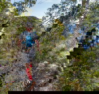 Wild Earth Coastal High 50 - QLD Tourism