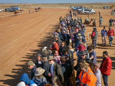 28th Marree Australasian CAMEL CUP 3 July 2021 - QLD Tourism 0