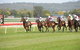 Aggies Race Day - thumb 0