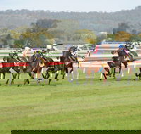 Aggies Race Day - QLD Tourism