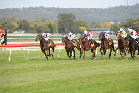 Aggies Race Day - QLD Tourism 0