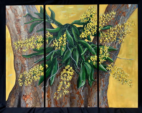 A Still Life - Solo Exhibition  Karen Sedaitis - QLD Tourism 1
