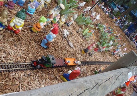 Australia Day With The Australian Gnome Convention Glenbrook - QLD Tourism 2