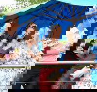 Bet 365 Caulfield Cup Day at Wodonga Race Course - Queensland Tourism