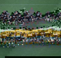 Bledisloe Cup Qantas Wallabies versus All Blacks - Queensland Tourism