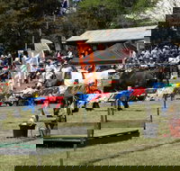 Carcoar Show