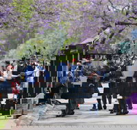 Celtic Festival of Queensland - QLD Tourism