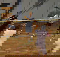 Charlton Badminton Club Ladies Tournament - QLD Tourism