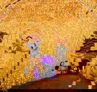 Christmas Lights Spectacular New Year's Eve at Hunter Valley Gardens - QLD Tourism