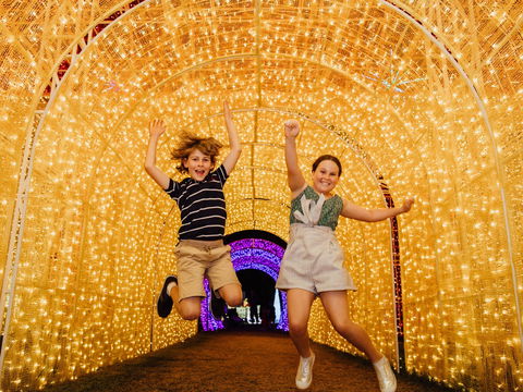Christmas Lights Spectacular New Year's Eve At Hunter Valley Gardens - Queensland Tourism 0