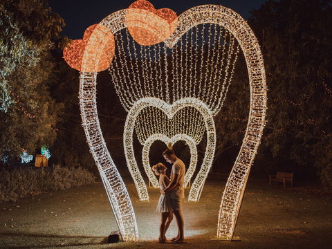 Christmas Lights Spectacular New Year's Eve At Hunter Valley Gardens - Queensland Tourism 1