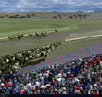 Cooma Sundowners Cup - QLD Tourism