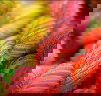 Creative Fibre - QLD Tourism