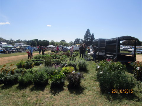 Crookwell Rotary Swap Meet And Market Day - QLD Tourism 1