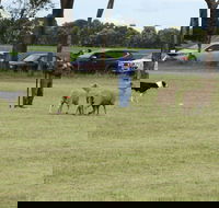 Dean Sheepdog Trials - Old Sniff Classic - QLD Tourism