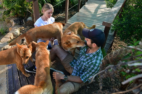 Dingo Den Discovery Experience - Queensland Tourism 1