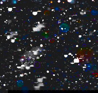 Eclectic by Murray Conservatorium - Queensland Tourism