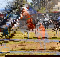 Glen Innes Pastoral and Agricultural Show - QLD Tourism