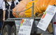 Goomeri Pumpkin Festival - thumb 2
