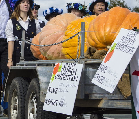 Goomeri Pumpkin Festival - QLD Tourism 2