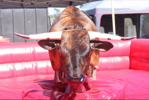 Gundaroo Music Festival - QLD Tourism 2