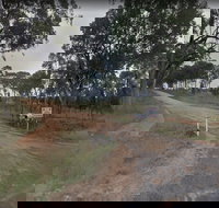 Hartwood Campfires and Country Music - Queensland Tourism