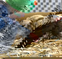 Horsham Agricultural Show - Queensland Tourism