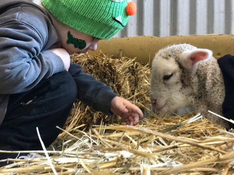 Horsham Agricultural Show - Queensland Tourism 0