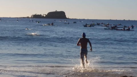 Island Charity Swim - QLD Tourism 1