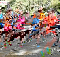 MAAS Group Dubbo Stampede Running Festival