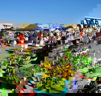 Maclean Macmarket Day - QLD Tourism