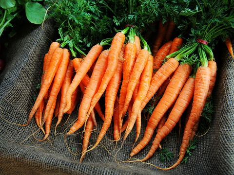 Mudgee Farm Walks - QLD Tourism 2