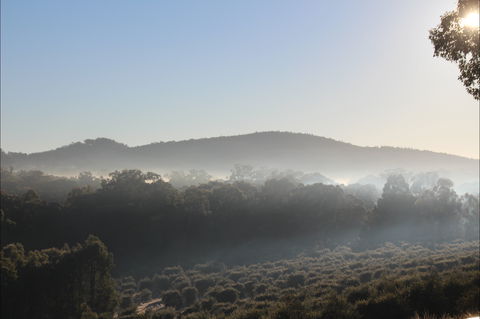 Mudgeeque - QLD Tourism 0
