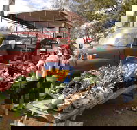 Murphys Creek Markets - QLD Tourism