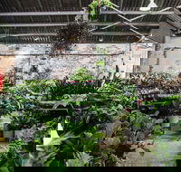 Newcastle - Huge Indoor Plant Warehouse Sale - Christmas Bonanza - Queensland Tourism