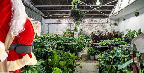 Newcastle - Huge Indoor Plant Warehouse Sale - Christmas Bonanza - Queensland Tourism 0