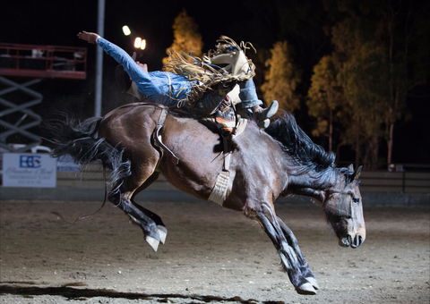 North Queensland Elite Rodeo - QLD Tourism 1
