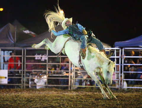 Patches Asphalt Queanbeyan Rodeo - QLD Tourism 2